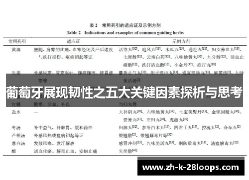 葡萄牙展现韧性之五大关键因素探析与思考 葡萄牙展现韧性之五大关键因素探析与思考